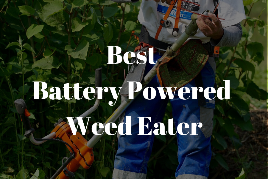 7 Best Battery Powered Weed Eaters
