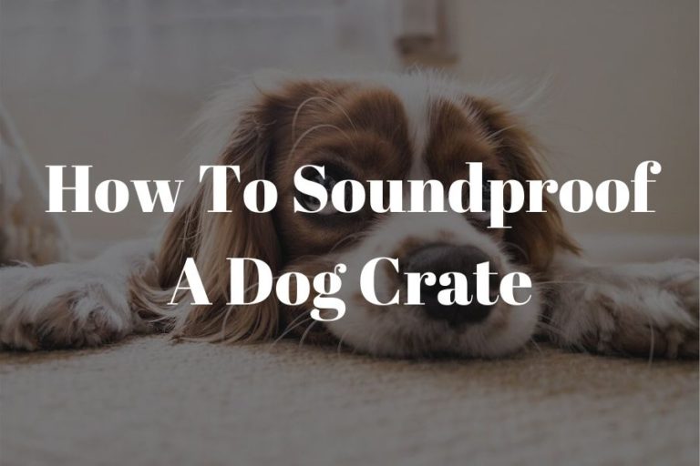 how to soundproof a dog crate featured image (1)