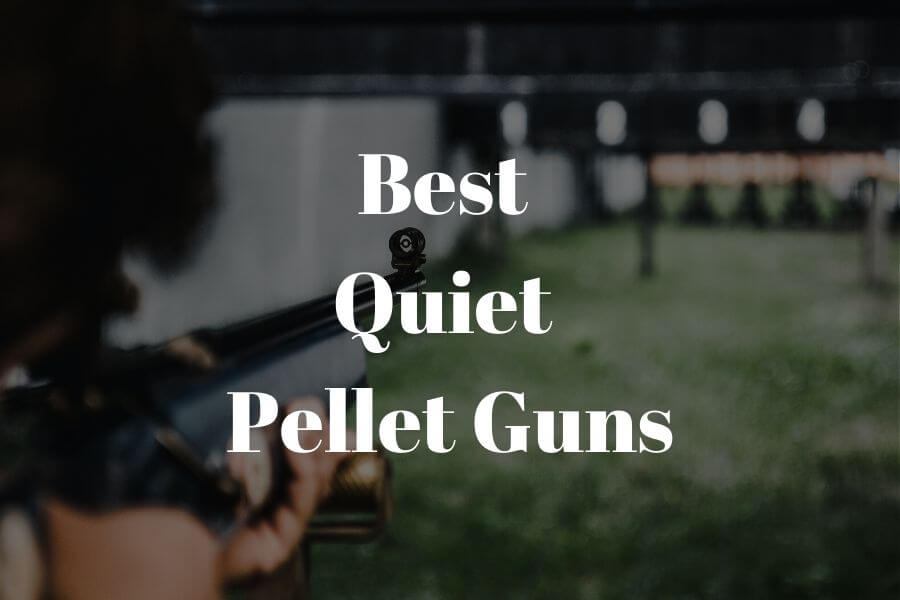 6 Best Quiet Pellet Guns Reviewed 2022
