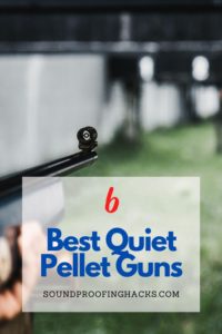 best quiet pellet guns pinterest 1